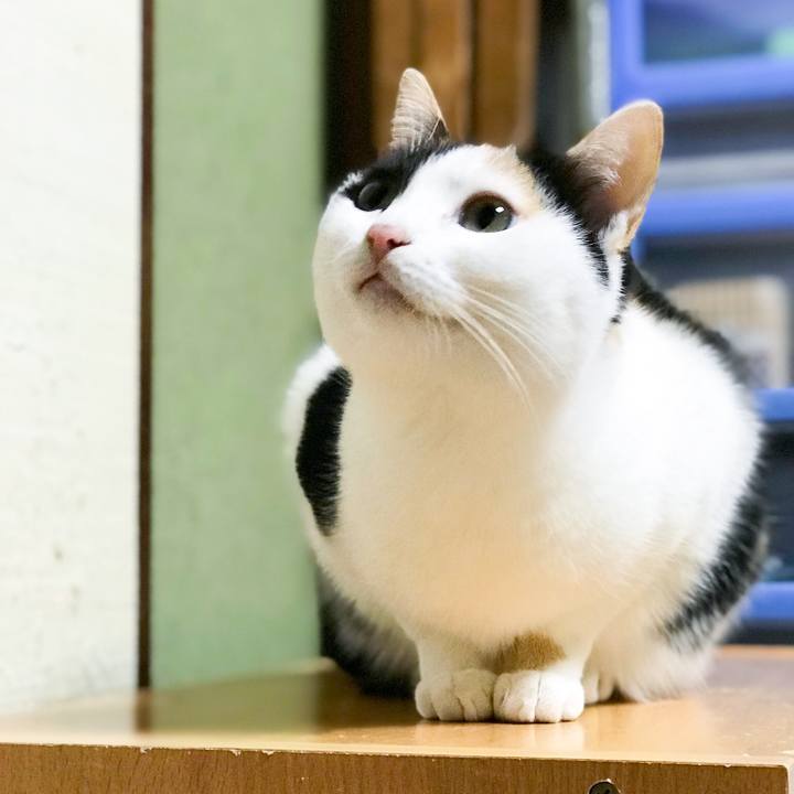 120a240d f687 4693 a2a0 aa2431b9ee8d 1514549566945