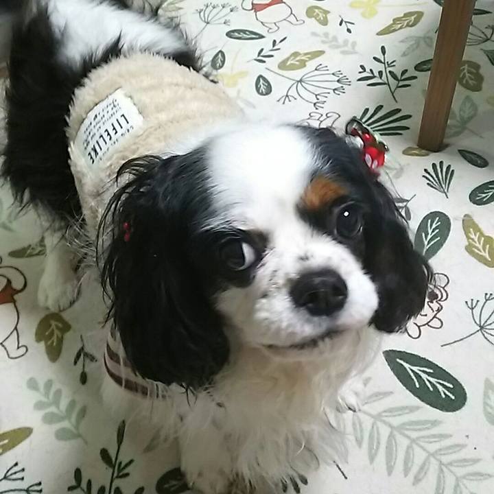 120a242e 444e 408a a284 bdcb7fc62ae4 1546177598262