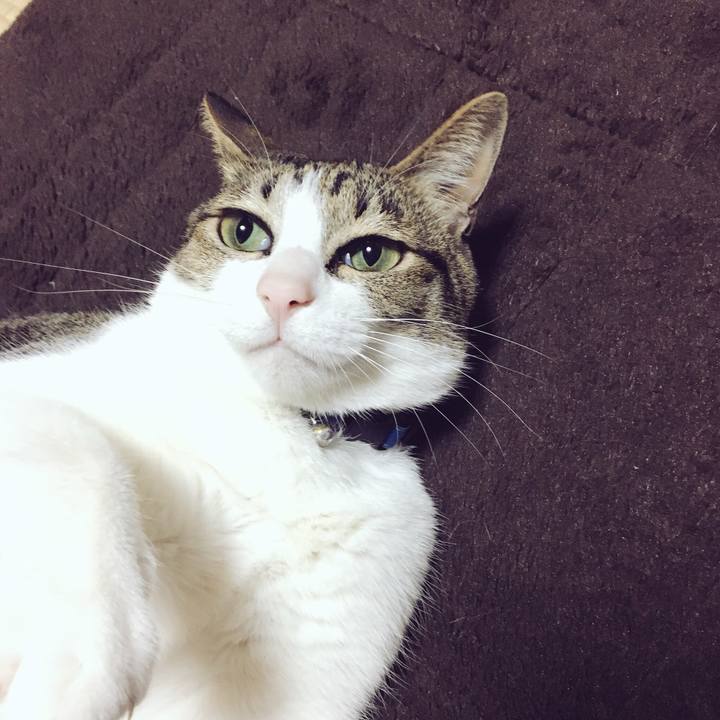 120a4628 f360 40db 8aa1 aeede9610a08 1524183287086