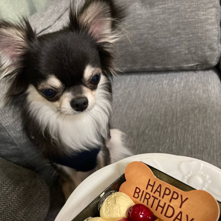 120a4af4 8306 4467 a54f c03852be950e 1612535834680