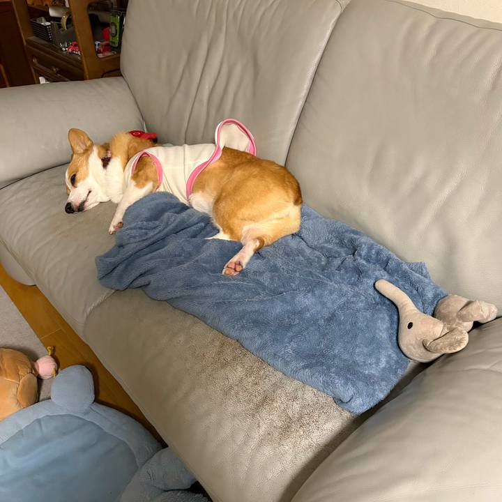 120a63bf 8127 4fb7 9b84 2defa07ea22e 1772890795668