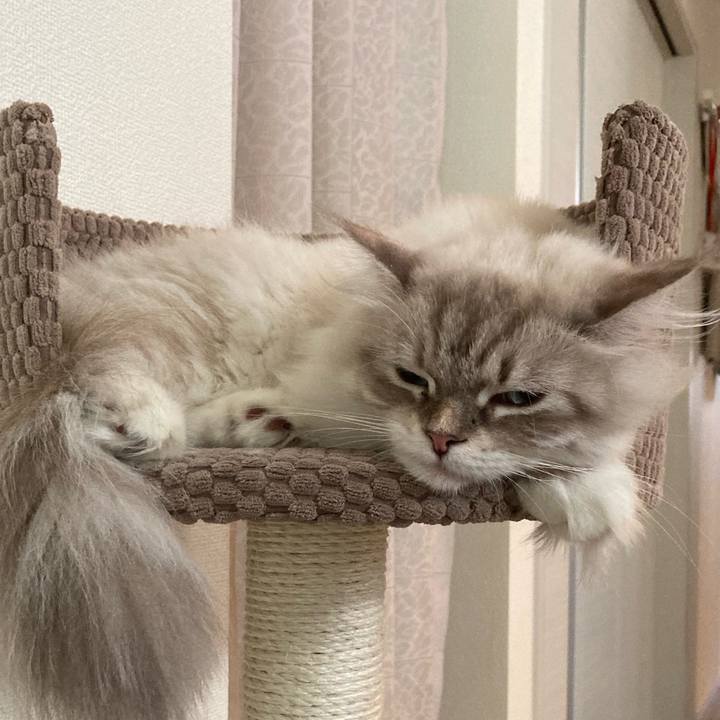 120a7a59 fa8f 4adb a1c5 460283dde818 1693659051799