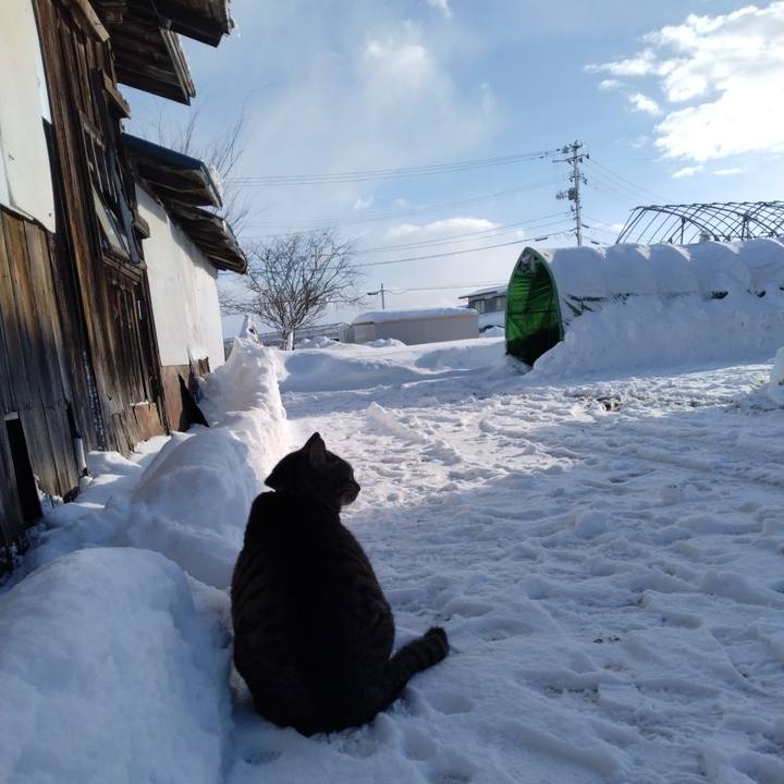 120a88bc 2d87 40fa a2e1 6530e67d9a6a 1672963056445