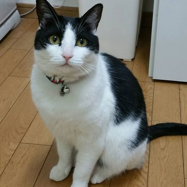 120a89b4 1aba 46bc b7cb 39bb2677c8f4 1525649123991