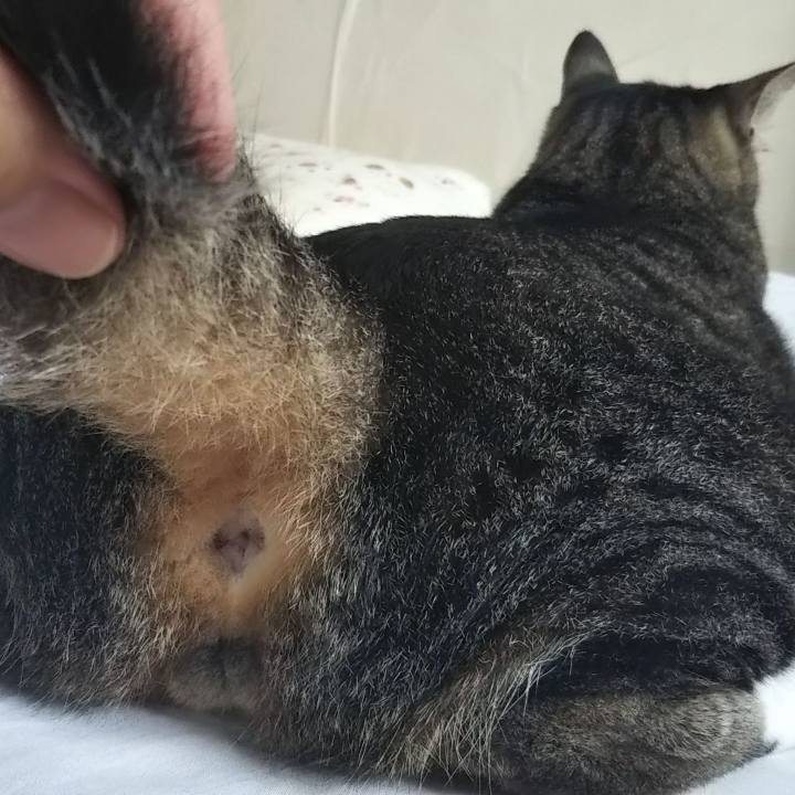 120a9e83 8fb8 4c0a aabb b06a18a6b05c 1602063331033