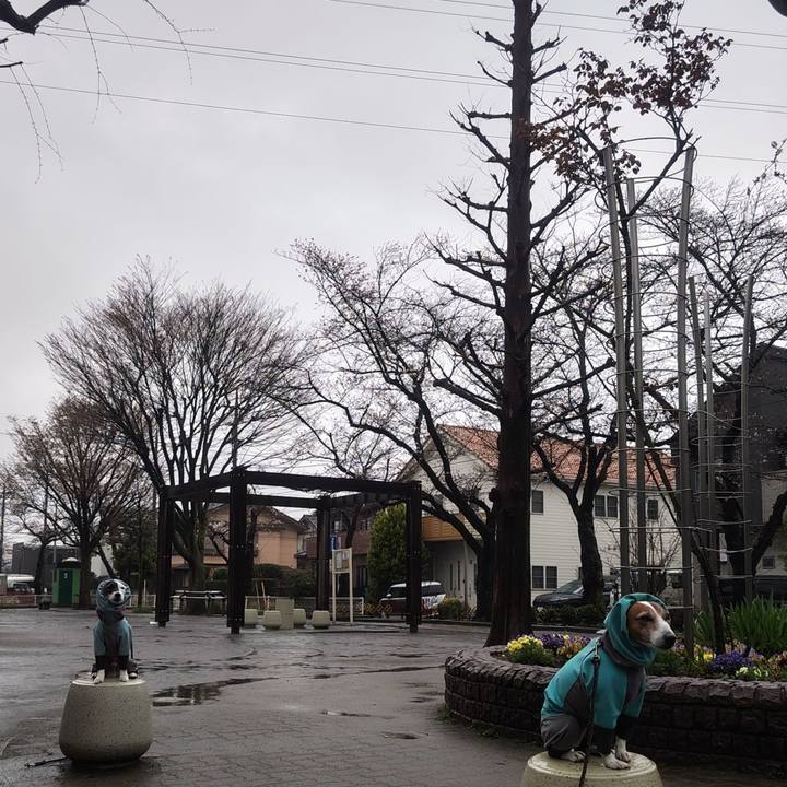 120b257f c1e7 4094 84b8 1c1d323e22fd 1774478125781