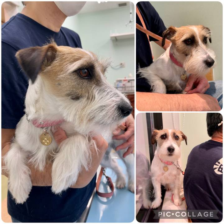 120b5a9b fd7f 4c11 a460 6587faeec515 1651061428295