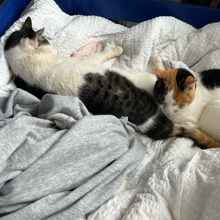 120ba041 e9d2 4710 81de 1e6dfee702f0 1714600372014