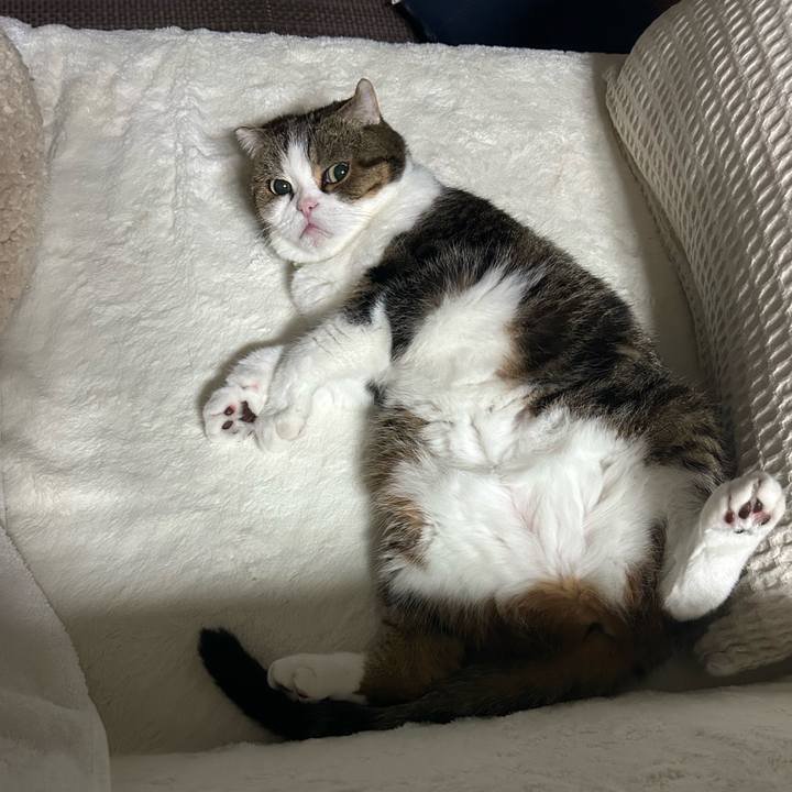 120bb294 d3c2 4ca9 a4a1 8ee26e830524 1759871704170