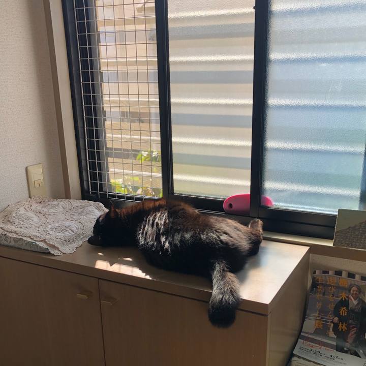 120be427 1bfb 4ff4 a031 7c503c848c51 1604109987766