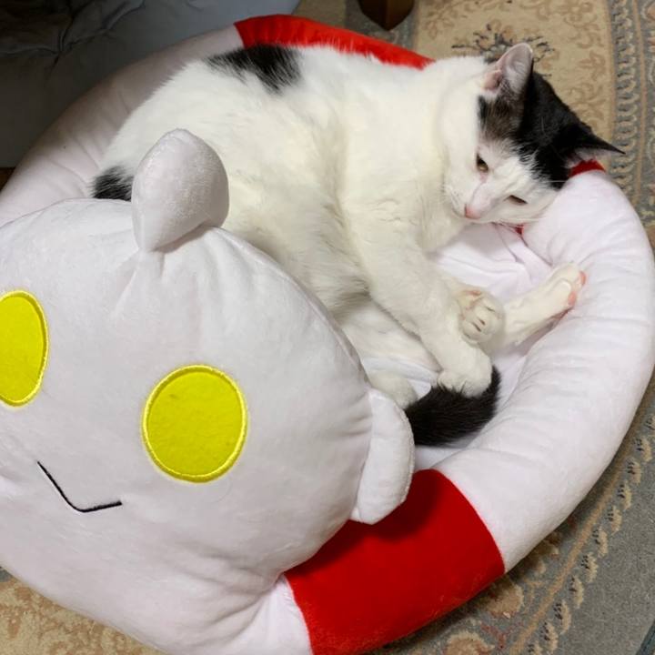 120c2184 ac67 4942 b7bf 9278e4193a5d 1562413883613