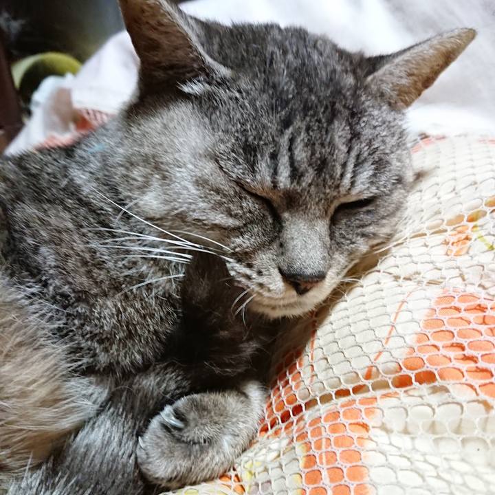 120c4070 cb02 4ec4 a7be 33169d3eb36c 1570975174089