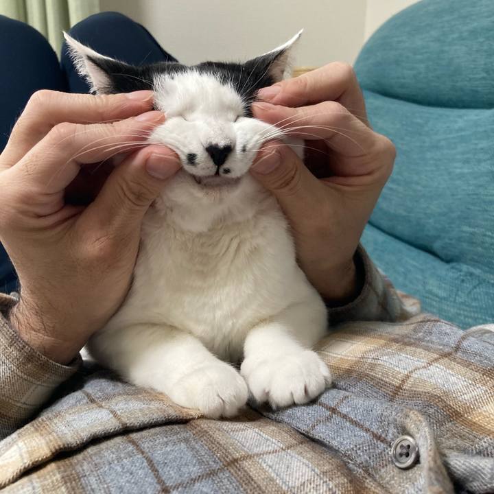 120c4a1b c48c 4506 9074 bc1112fdd643 1773533692029