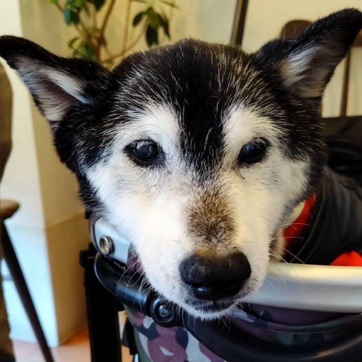 120c5cbf b6b8 4afb 85f6 1f500ac8dc6d 1723304695685