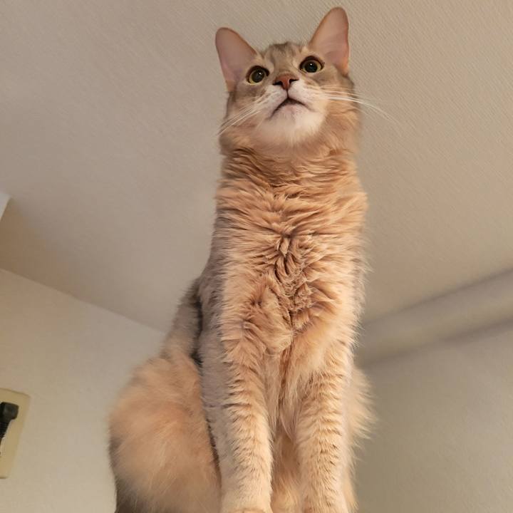 120c75de 4da6 4a1a 8fb9 12286edc8f87 1697933540747