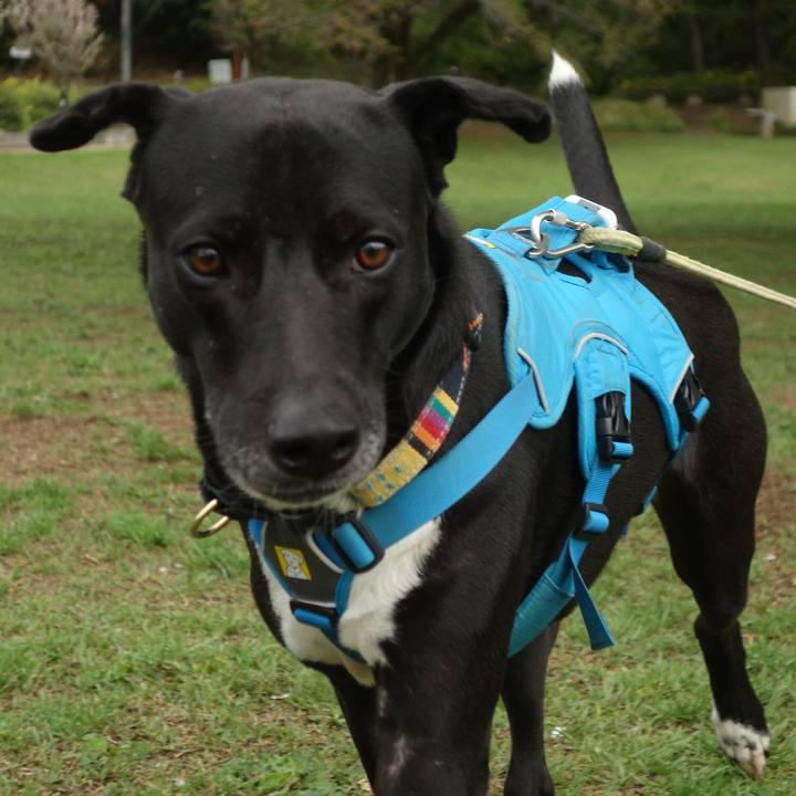 120c9af6 7934 44f3 929a ae6251c2c250 1617669871241