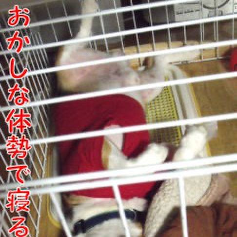 120ca468 6fb6 4b61 a0c4 c5c7be9cfb79 1720904881904