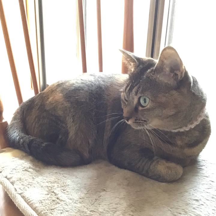 120cca8d 7a4f 43a6 9577 f94f7290a29f 1668338571061