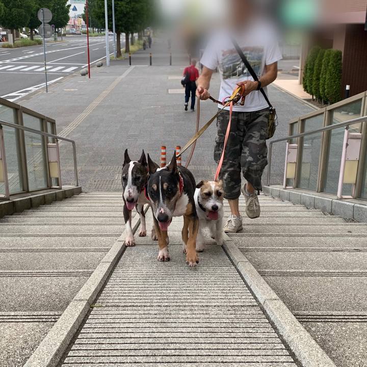 120cceba b79f 44f0 b215 d1017de5872f 1598095934284