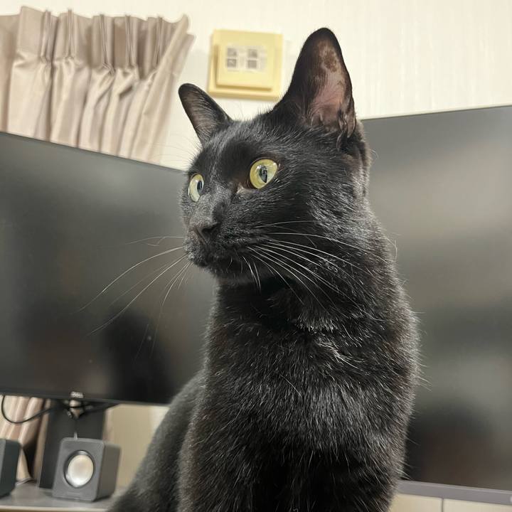 120cd751 074f 4f03 95f1 0d76a0a1f4eb 1686220152035