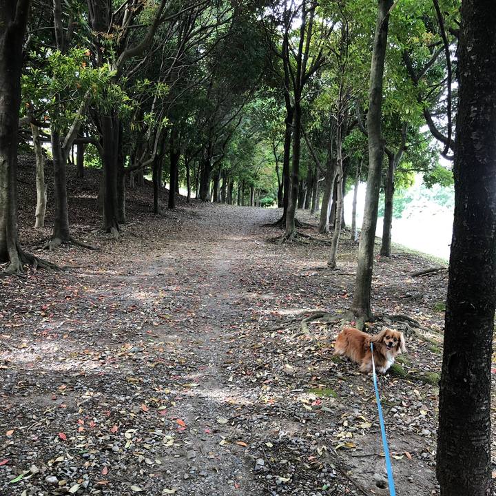 120cf92a d4cb 43ee b3e8 9d43978b7d86 1558227733133