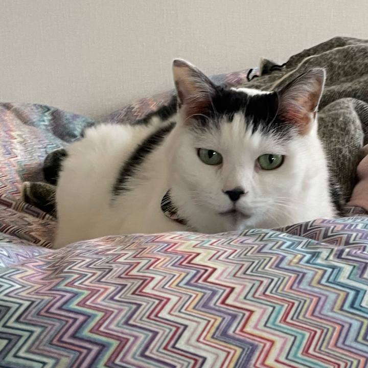 120d3956 9724 4277 81d9 87d7fdd5f462 1647214427448