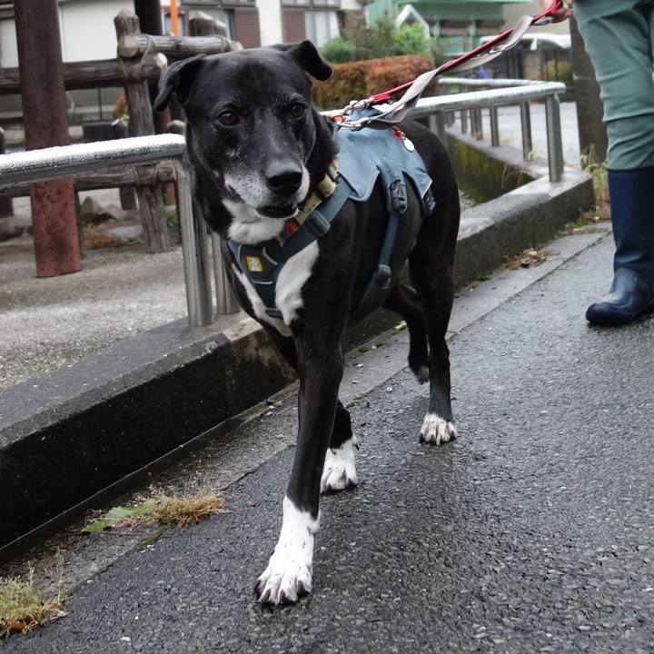 120d5369 5851 47c5 8267 e9535906c273 1730506754886