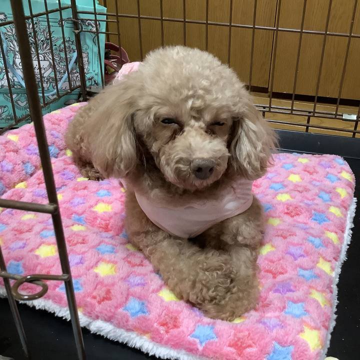 120d56bf ba9e 43fb 89d1 a782e3841565 1710923308427