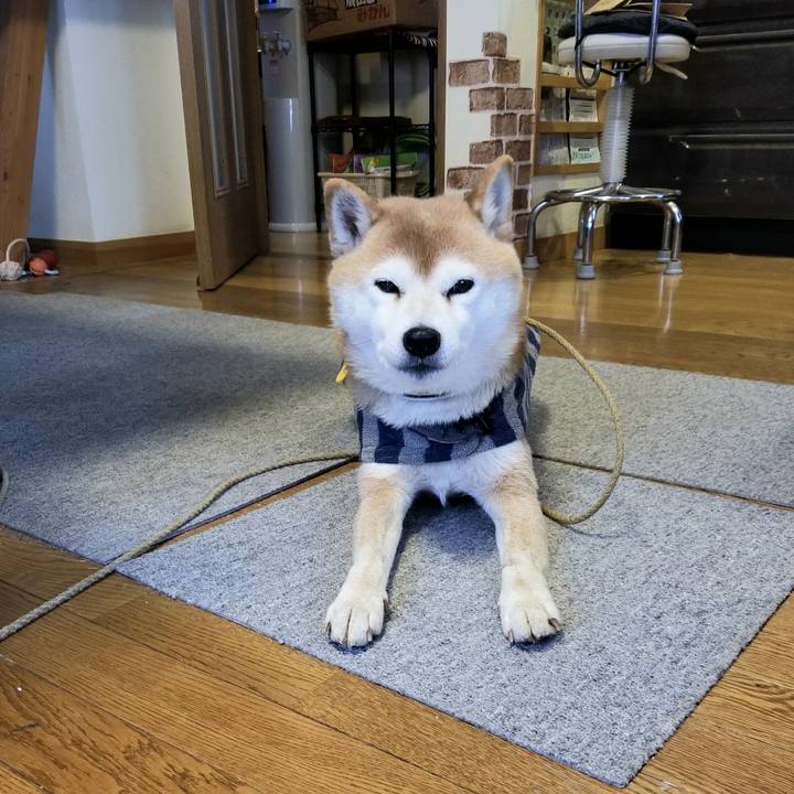 120d5737 701c 44c6 b81f c1e65c12d844 1613007437878