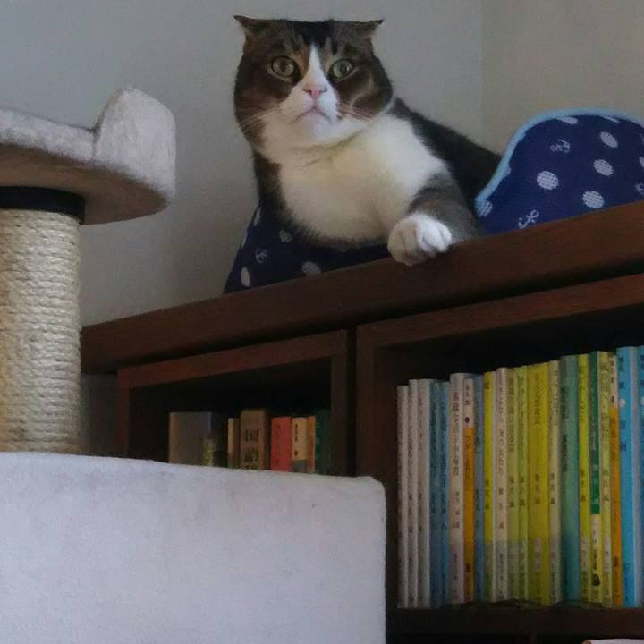 120d5e1e 3520 4668 9d09 c528090d935e 1517704929901