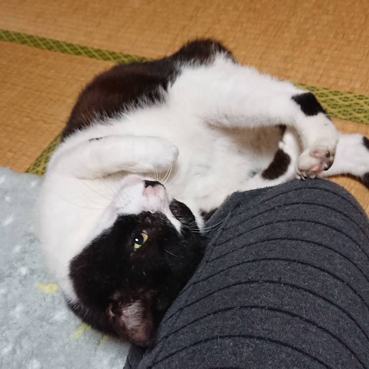 120d5f63 a09b 4750 8eee db9fc8a9930f 1539731843473