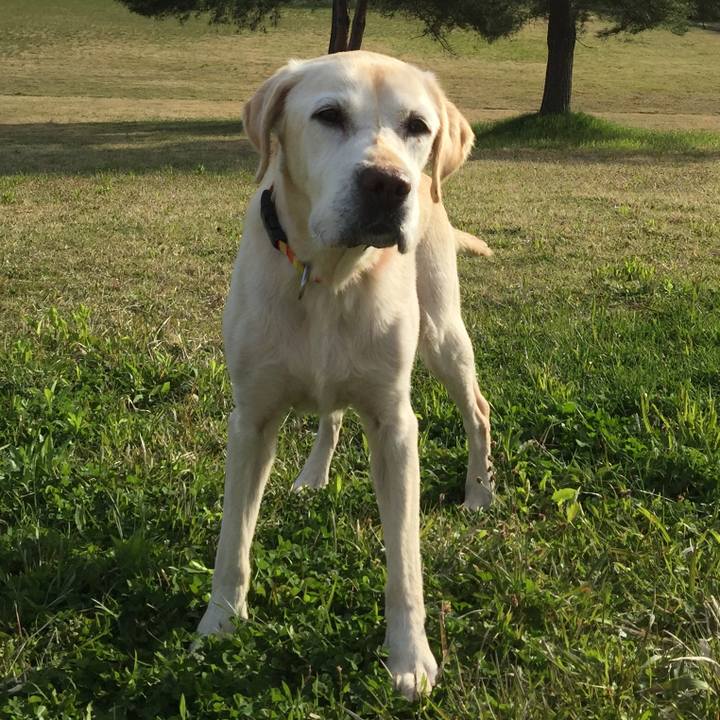 120d8578 dbbb 4b05 b669 1d384528e0cb 1594204936594