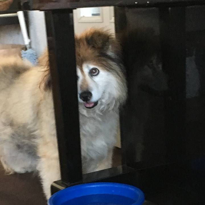 120dad08 4ac4 451d 99b7 86211143ec13 1579525005244