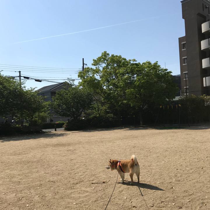 120dbccf a71f 4895 899e f4acd33aae6c 1524465263615