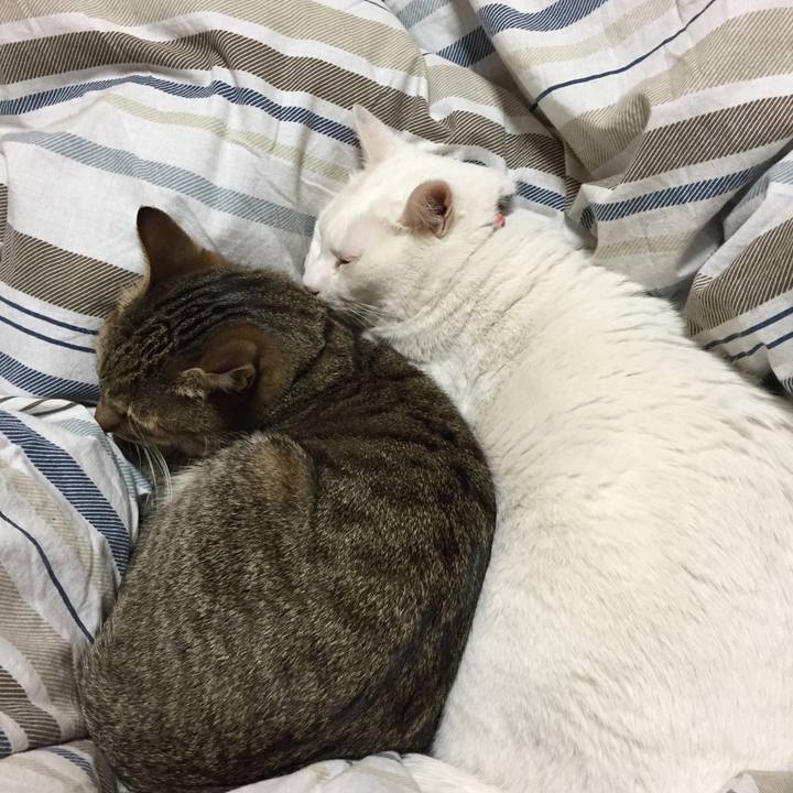 120dbda9 5d18 494d ad6f ef880810fe8a 1546527906697