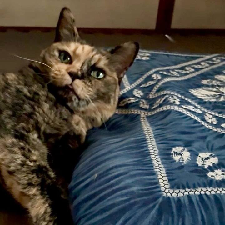 120e02ab a6ae 416f 8a44 c9e383417f0d 1753522968901