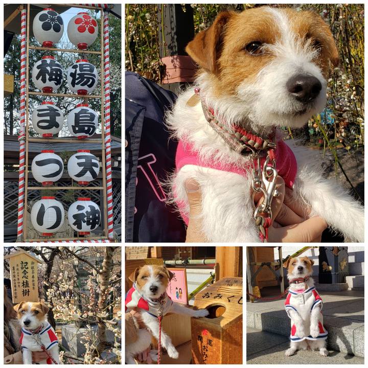 120e5244 275c 440e 8b6d 2e623d9f3e94 1550309794916