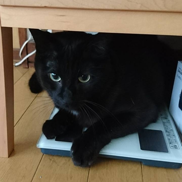 120e6673 4df3 4500 a4bf 5648eb8c1c5e 1547258752378