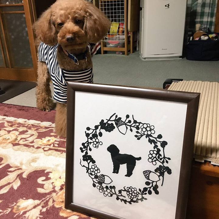 120e8bd6 81d6 4946 aea8 878a0fbf83fa 1542255772260