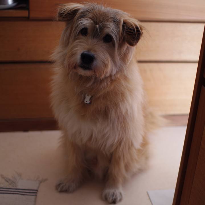 120e95d6 639b 4da7 b3fe fe72ad77f125 1643290293798