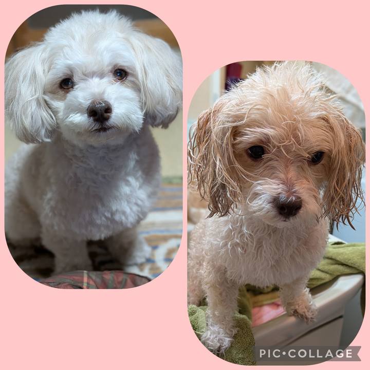 120eaf97 ce03 4280 803e c3834816923b 1765455272328