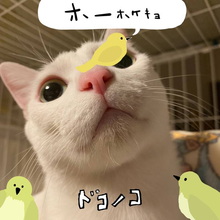 120ede29 5a9c 4864 b48a e253e7fe228c 1711033073661