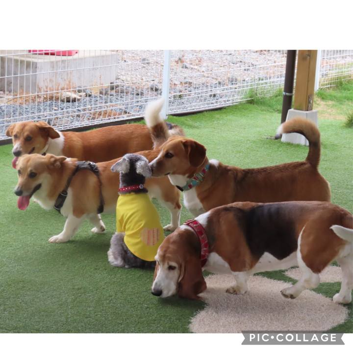 120f4728 fefd 4839 b8c4 3cd5e9120db4 1621177902500