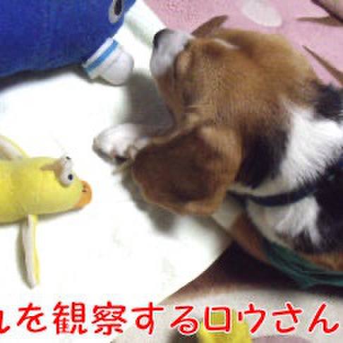 120f8dde c624 455c a947 d2627a1c815d 1712881674426