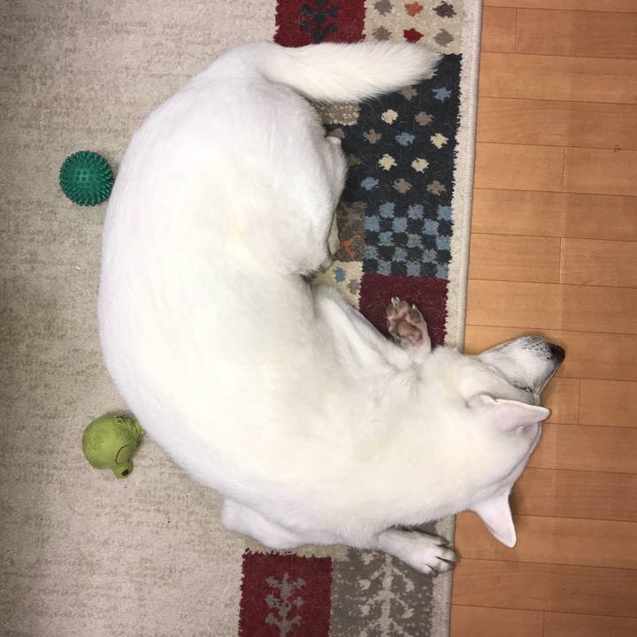 120f933d d5fe 48e7 8470 92ae3347ed06 1532087621965