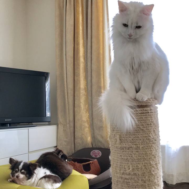 120fb134 fa63 432e 8f68 a2cb90c8a4eb 1555588499327