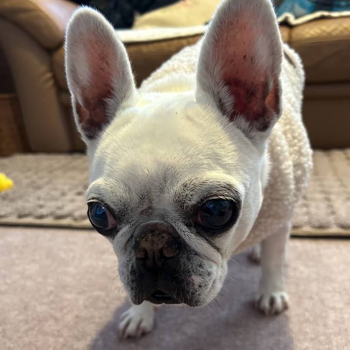 120fb645 7ea2 4094 b481 9937b97b17d6 1737551870303