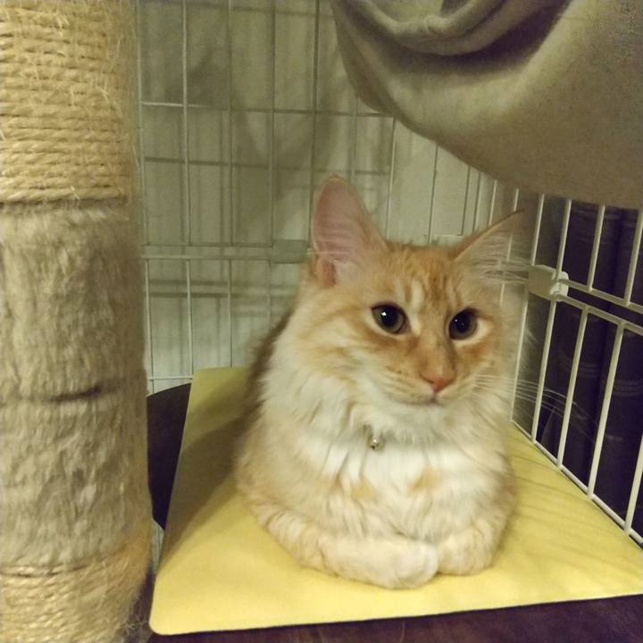 120fd218 f8a1 4da6 9b86 73aa2ed323d7 1618746041050