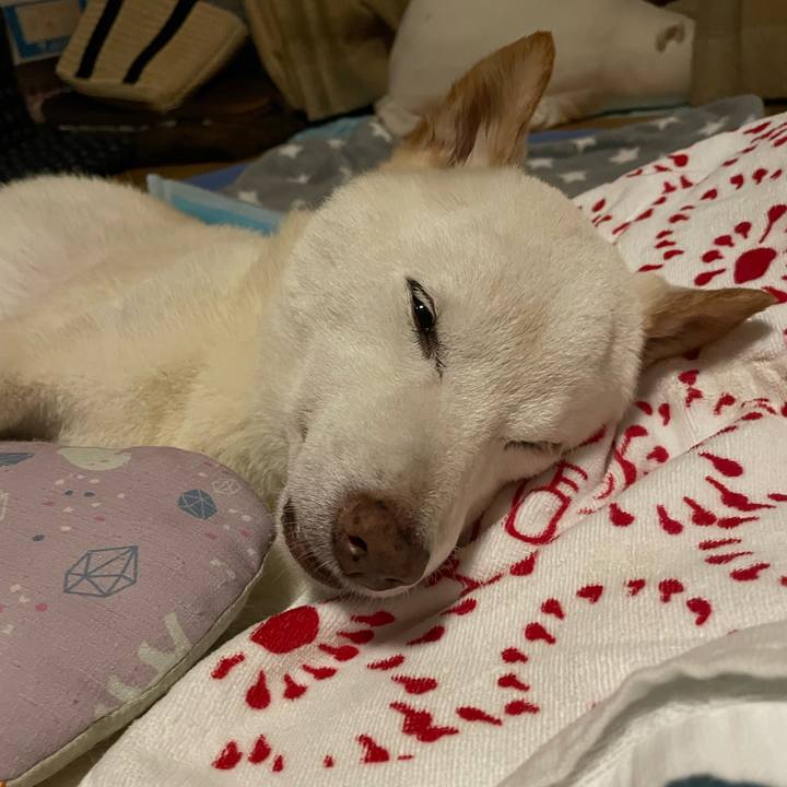 120ff043 2bbf 4f19 baac 7feb161648da 1663442301349