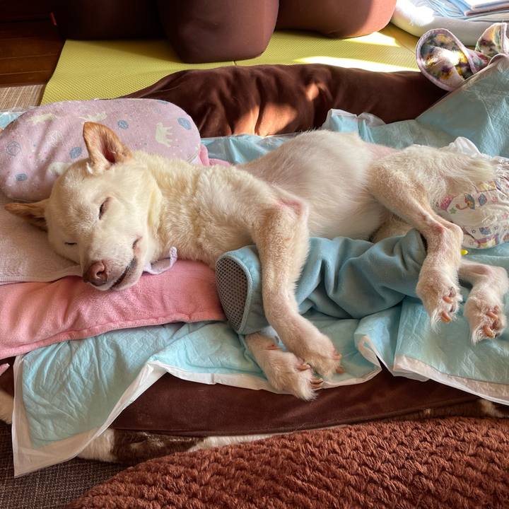 1210720a d5e3 4114 9c66 75135ef568a0 1673515388021